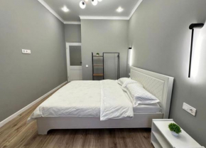 Новая уютная квартира в центре 2 комнаты 2 rooms